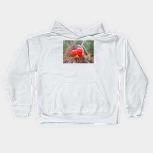 Western trumpet honeysuckle (Lonicera ciliosa) berries Kids Hoodie